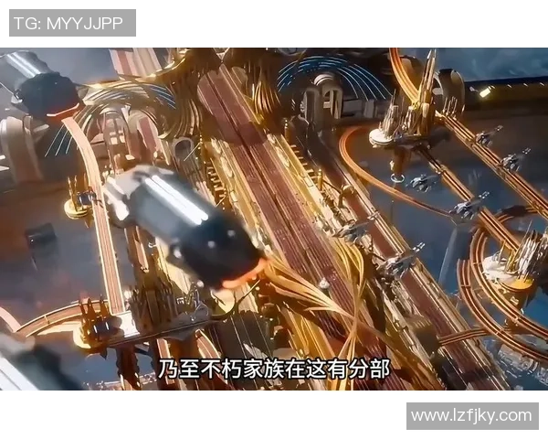 杭州排球队的崛起之路：城市联赛背后的奋斗与荣耀